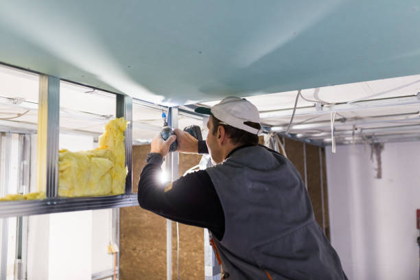 Best Insulation Maintenance and Repair in Gila Bend, AZ