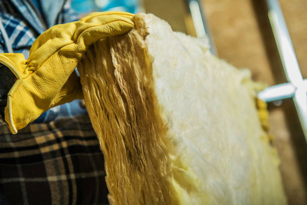 Best Cellulose Insulation in Gila Bend, AZ